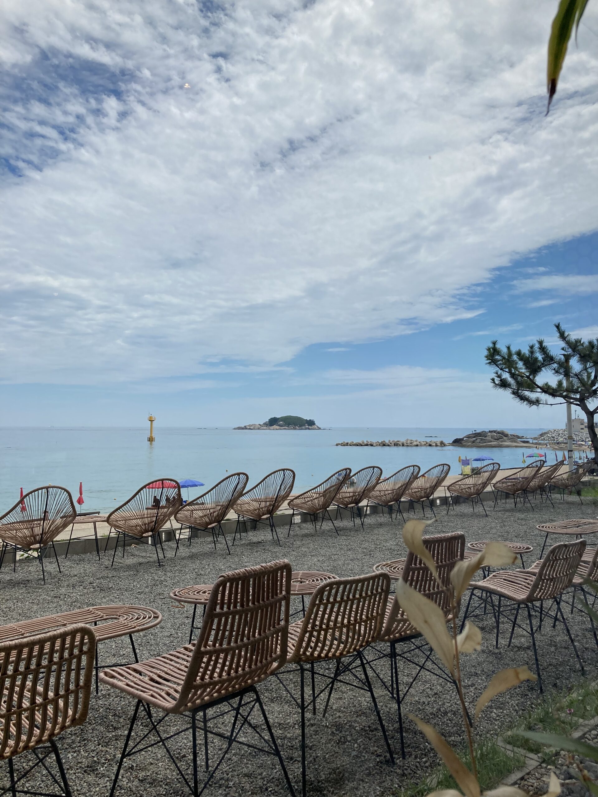 🌊 Part 3: KTX East Coast Getaways: Surfyy Beach Yangyang & Gangneung Guide (KTX 동해안 여행)