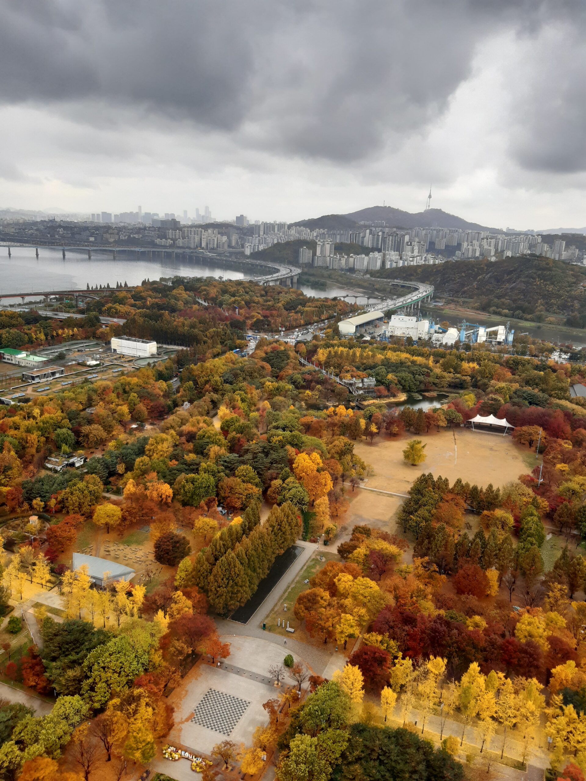 Poetic Autumn Words & Expressions Every Learner Should Know